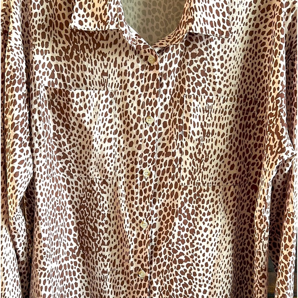 Button Down Dress - Picture 3 of 7